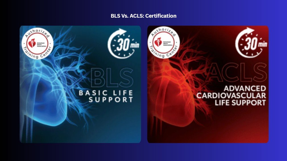 what is the difference between bls and acls