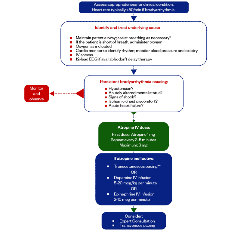 ACLS Algorithm Guide: Simplify Life-Saving Techniques