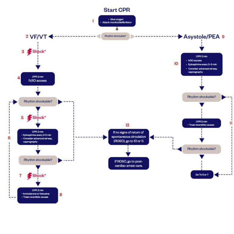 acls cardiac arrest algorithm infographics