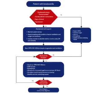 PALS Algorithm | Pediatric Emergency Care