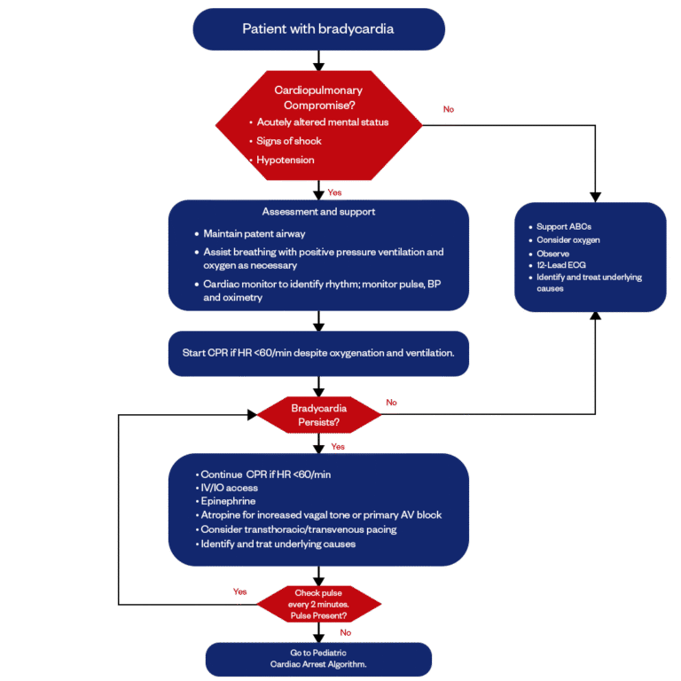 pediatric bradycardia with pulse algorithm