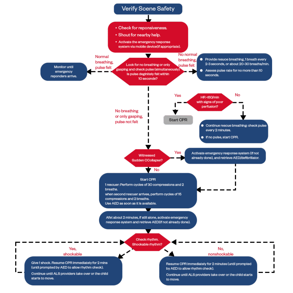 pediatric bls algorithm infographics