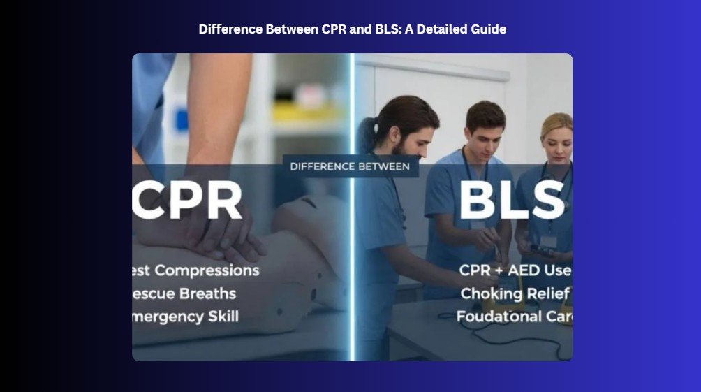 difference between cpr and bls