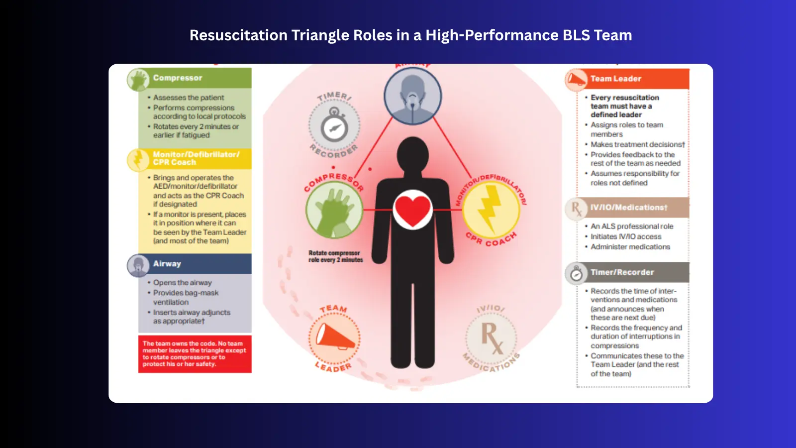 resuscitation triangle roles in a high performance BLS team