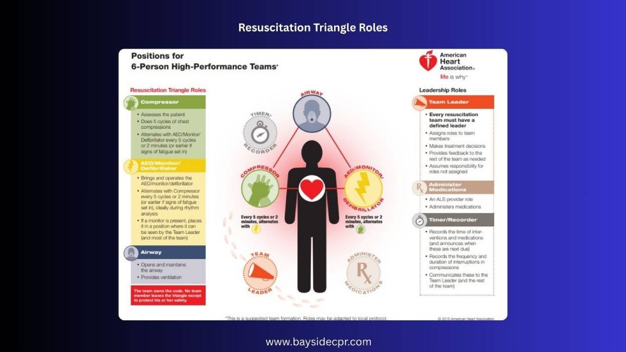 resuscitation triangle roles in acls high performance team