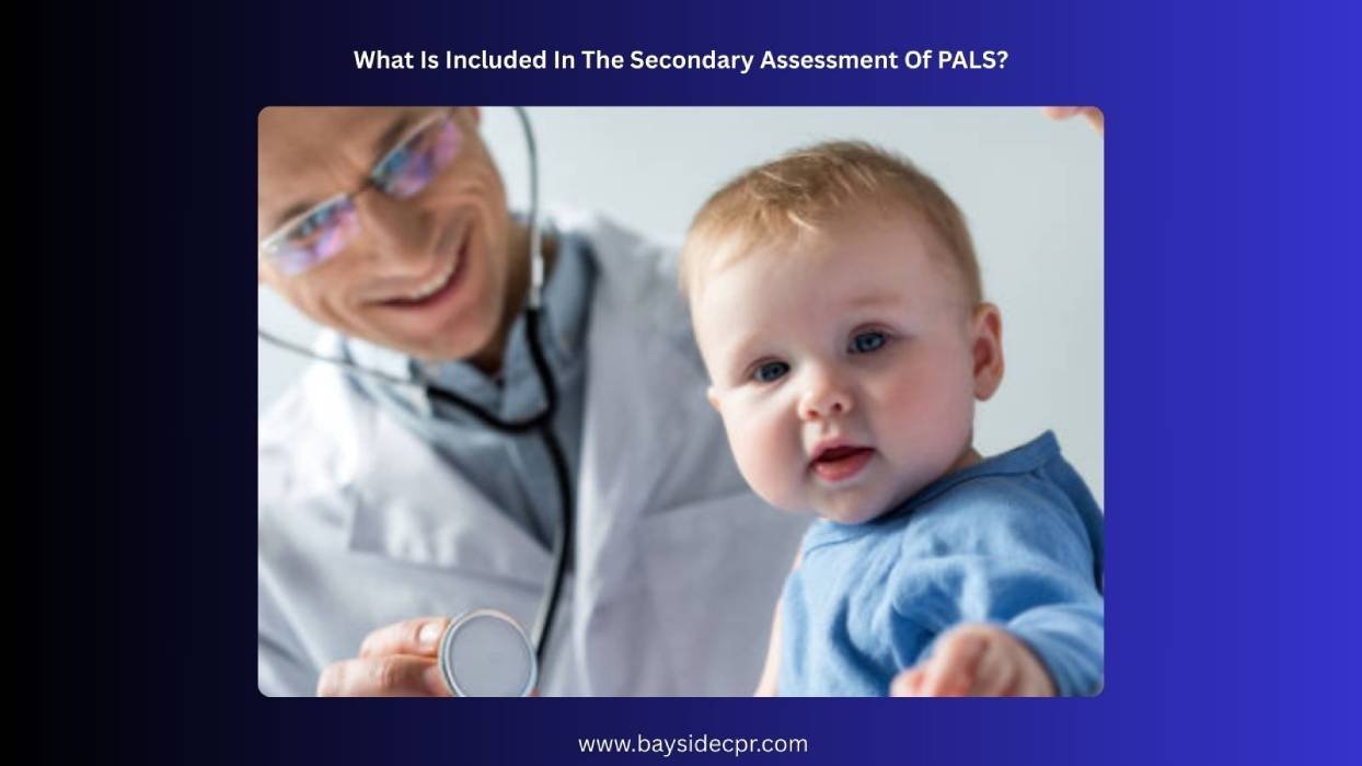 What Is Included In The Secondary Assessment Of PALS?
