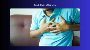 adult chain of survival