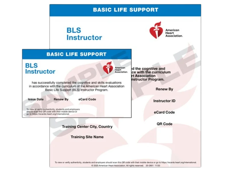 aha bls ecard