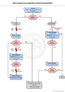 Adult Cardiac Arrest Care Algorithm | CPR & ALS Guide