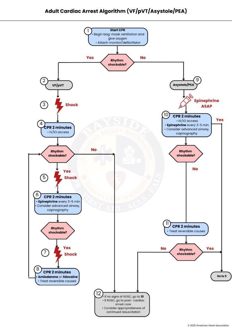 aha-adult-cardiac-arrest-algorithm-bayside-cpr