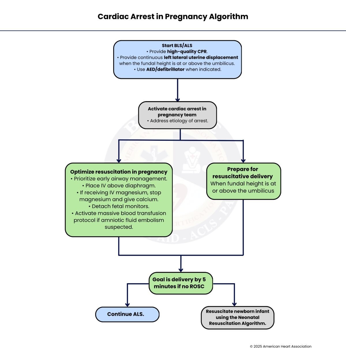 Maternity Algorithm Cardiac Arrest in Pregnancy Algorithm | Quick Guide