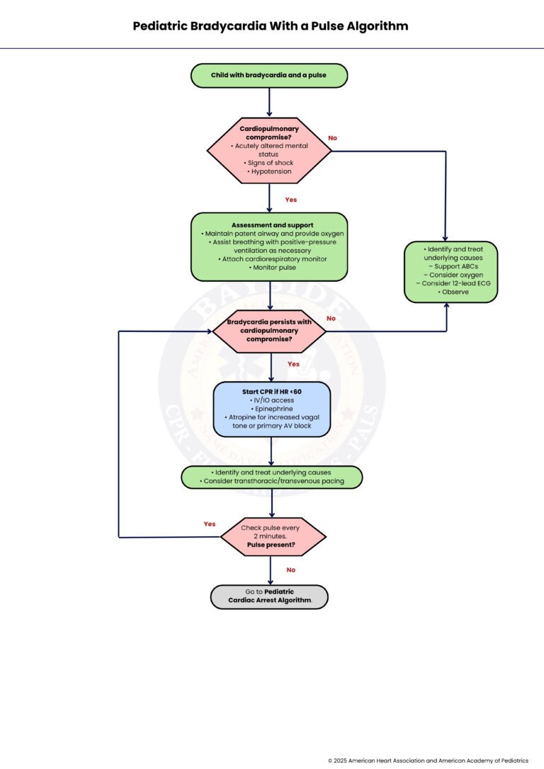 aha-pediatric-bradyacrdia-algorithm-bayside-cpr