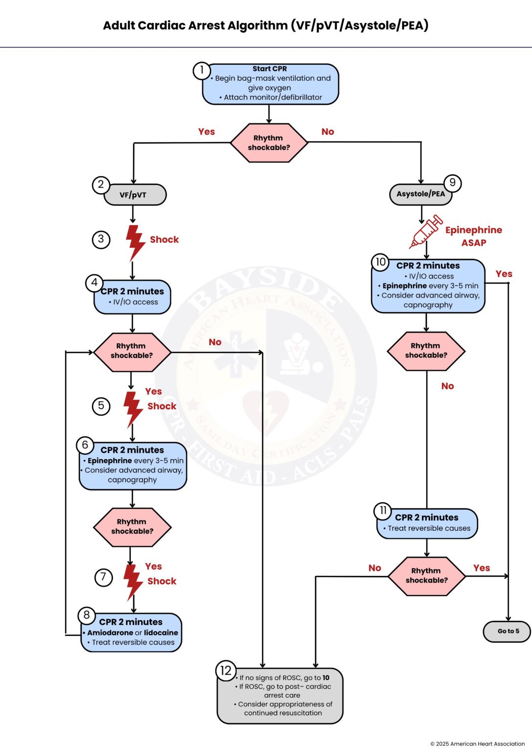 ACLS Algorithm Guide: Simplify Life-Saving Techniques