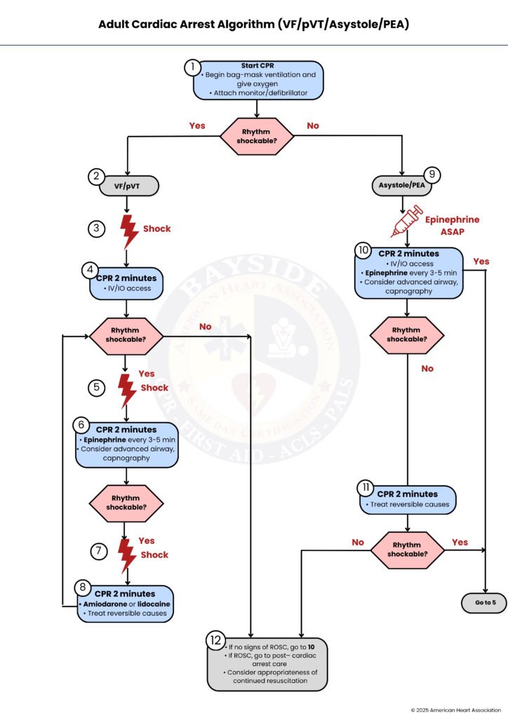 Stopping Acls Algorithm ACLS Algorithm Guide: Simplify Life-Saving Techniques