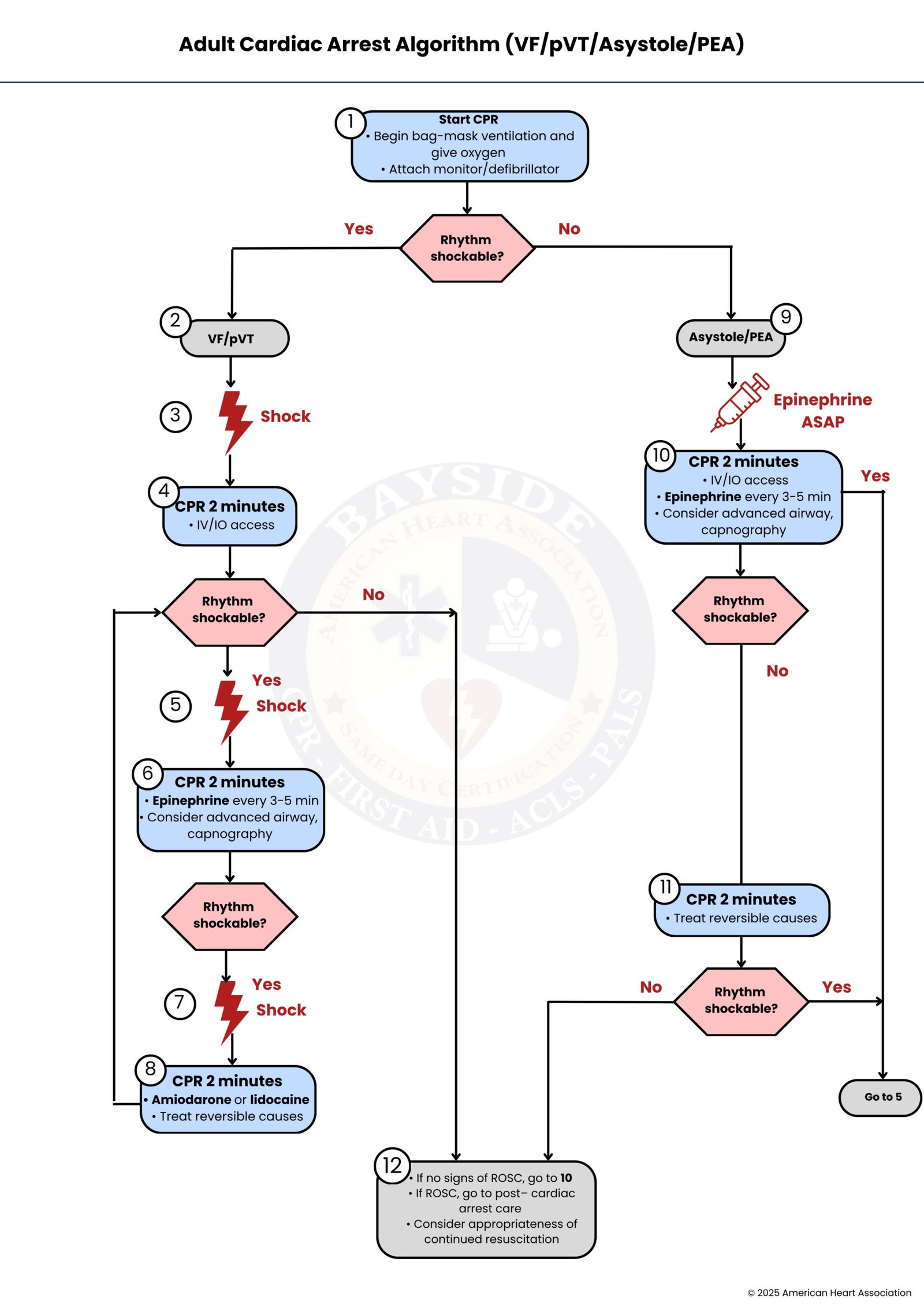 aha-adult-cardiac-arrest-algorithm-bayside-cpr