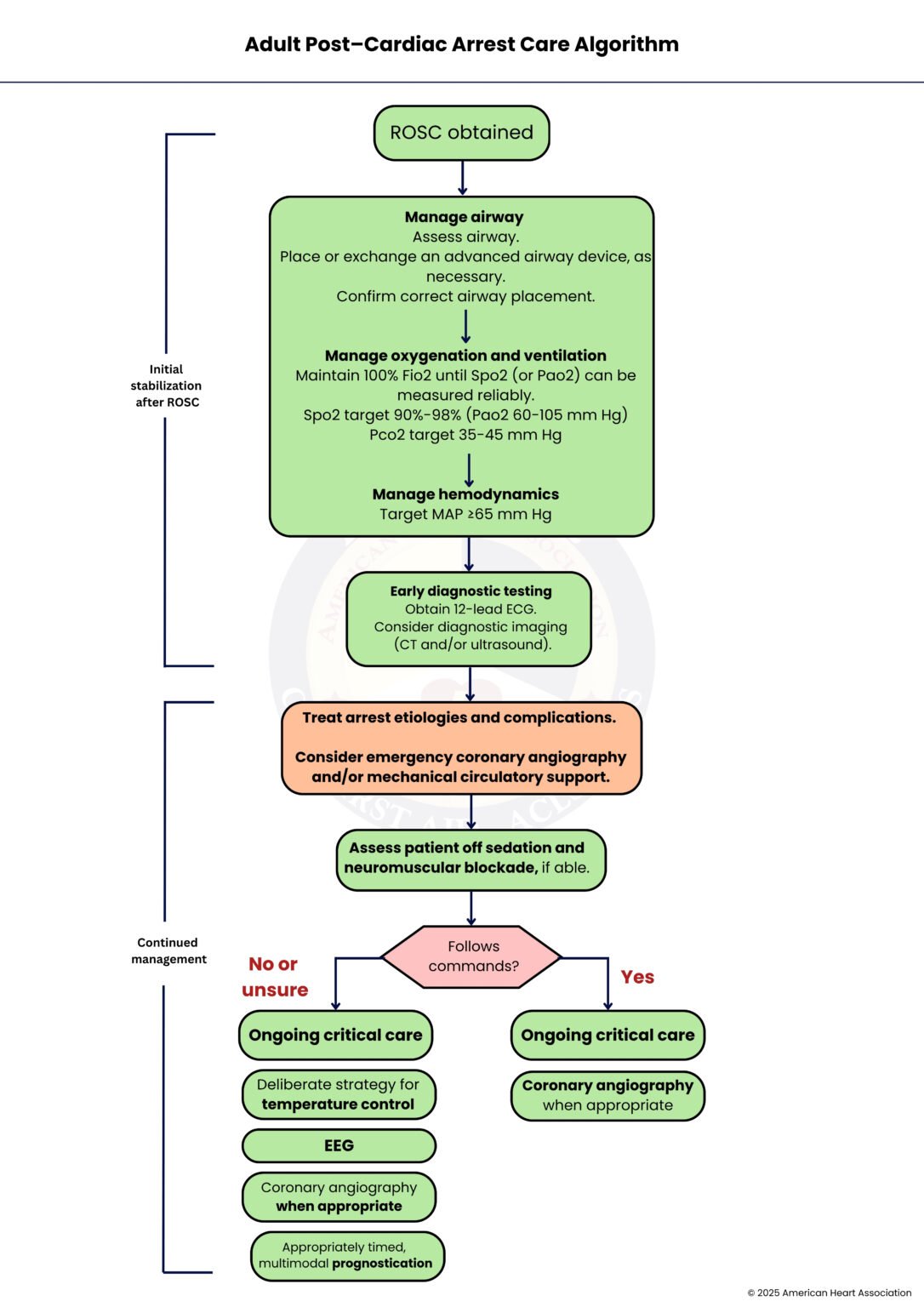 ACLS Algorithm Guide: Simplify Life-Saving Techniques