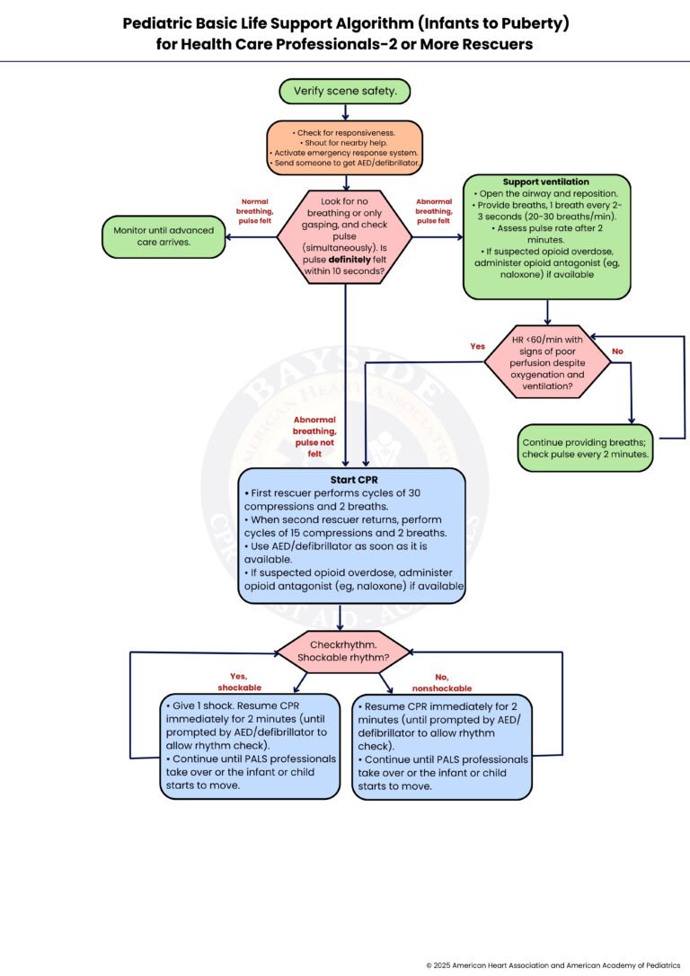 aha-pediatric-bls-algorithm-infants-to-puberty-two-rescuer-bayside-cpr
