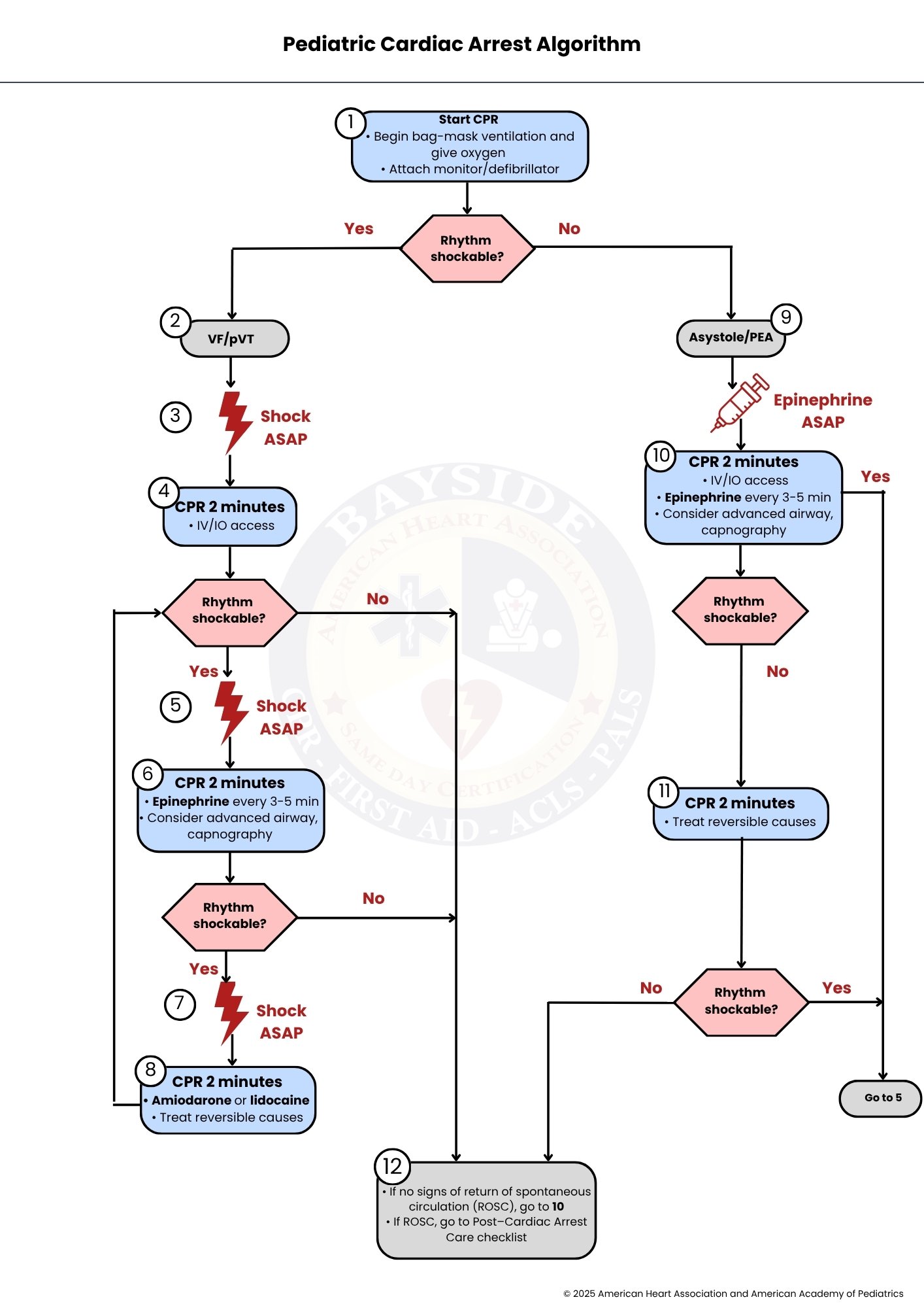 aha-pediatric-cardiac-arrest-algorithm-bayside-cpr
