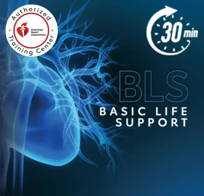 bls certification