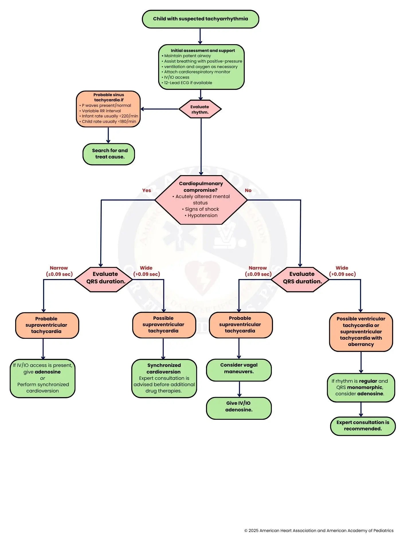 pediatric tachyarrhythmia algorithm flowchart