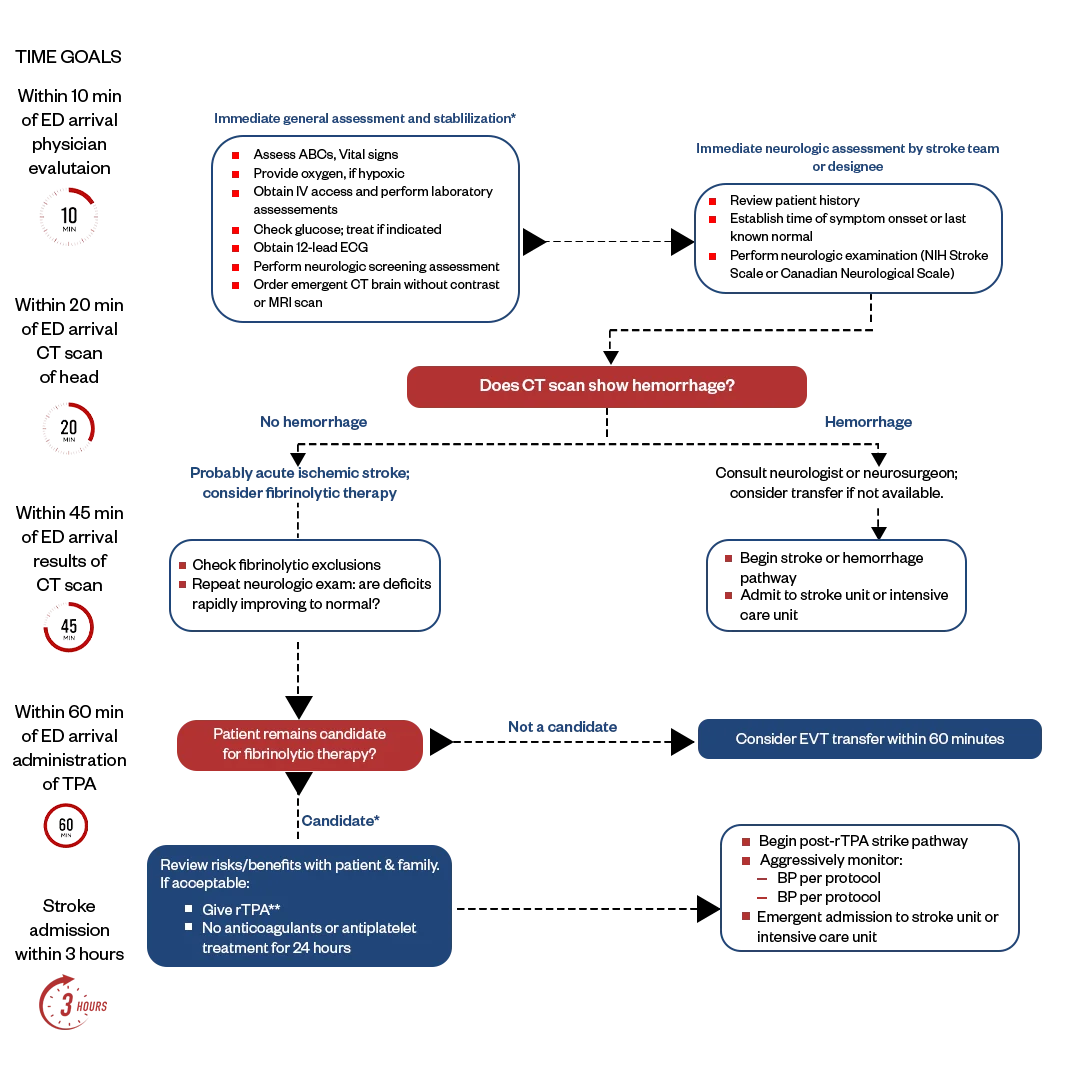 supsected-stroke-algorithm-infographics