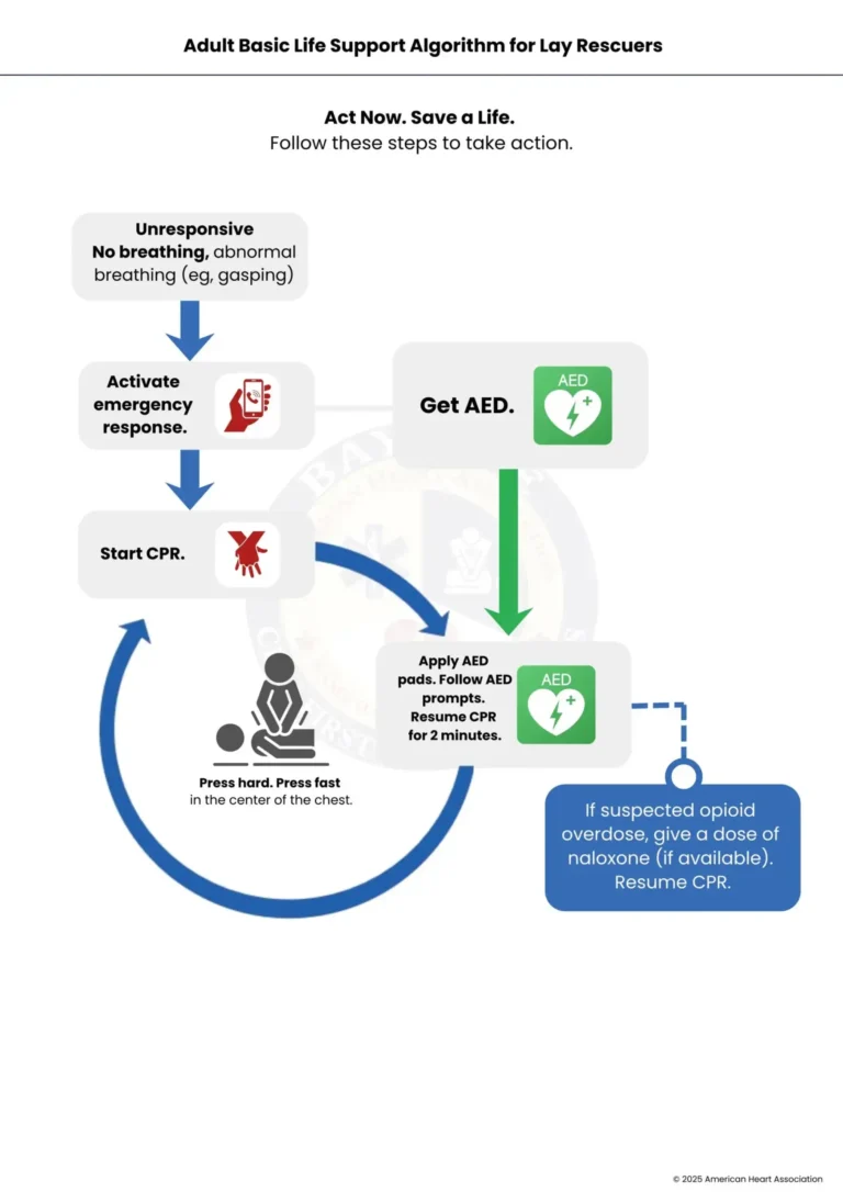aha adult basic life support algorithm lay rescuers bayside cpr