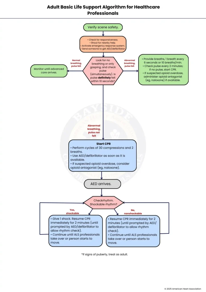 aha adult bls algorithm healthcare professionals bayside cpr