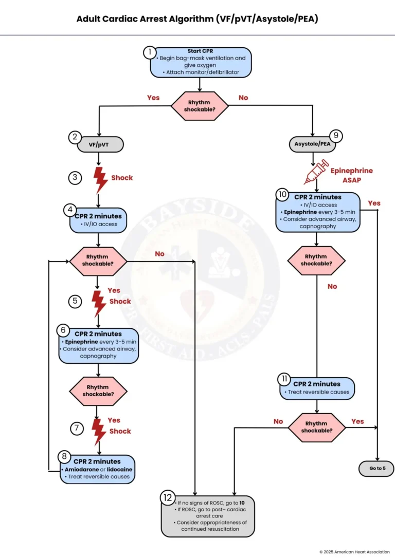 aha adult cardiac arrest algorithm bayside cpr