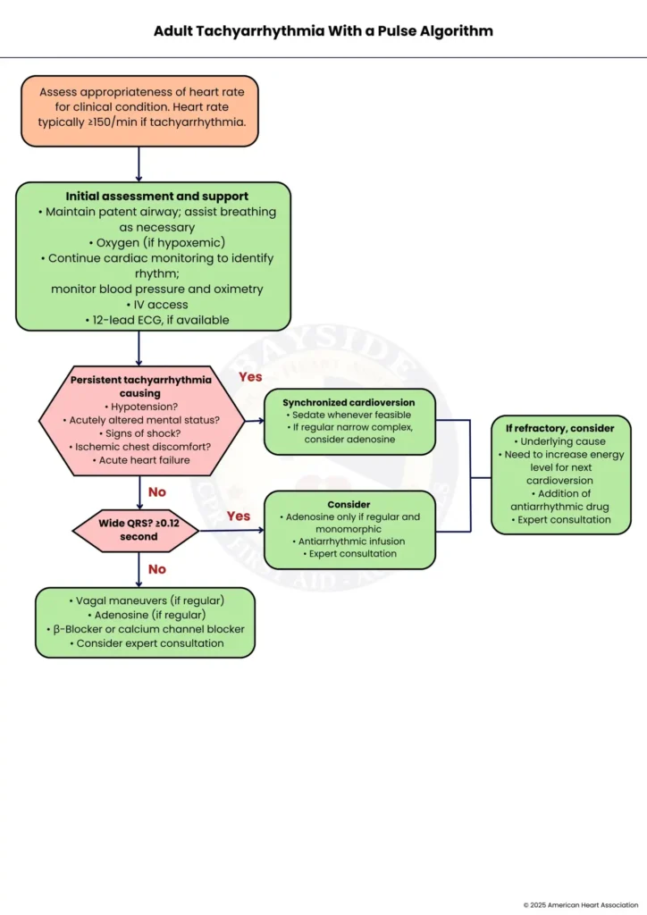 aha adult tachyarrhythmia algorithm bayside cpr