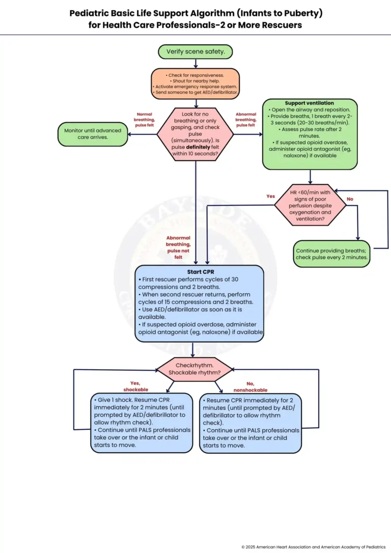 aha pediatric bls algorithm for infants to puberty two rescuer