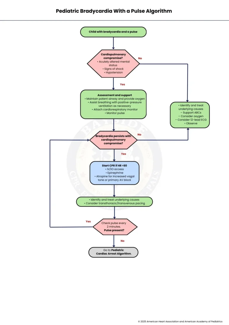 aha pediatric bradycardia algorithm bayside cpr