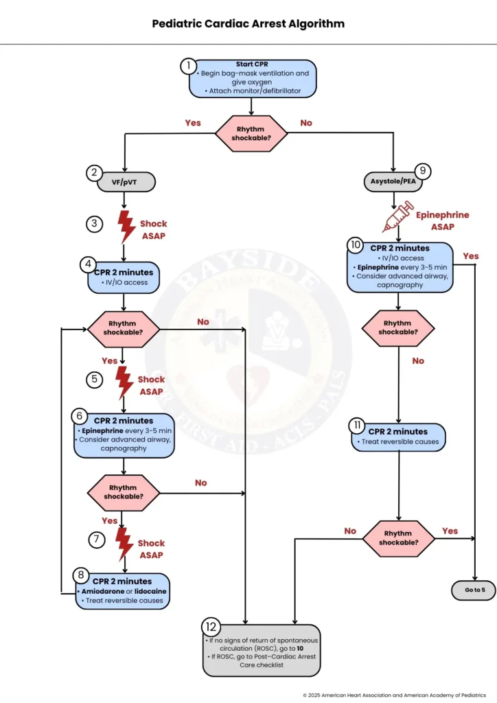 aha pediatric cardiac arrest algorithm bayside cpr