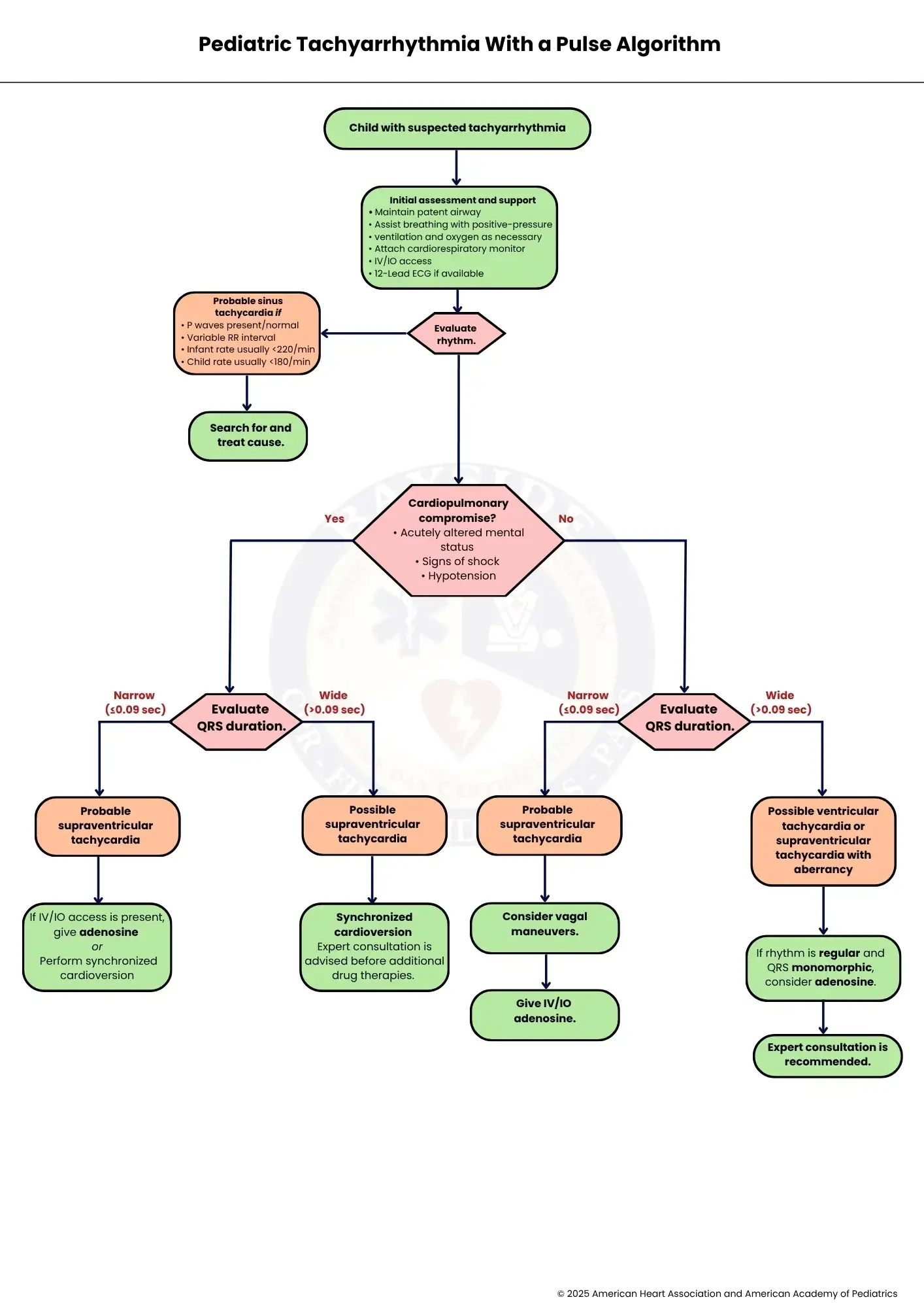 aha pediatric tachyarrhythmia algorithm bayside cpr